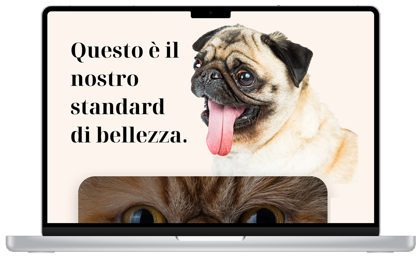 Landing page della campagna PET INcLUSION vista su mobile